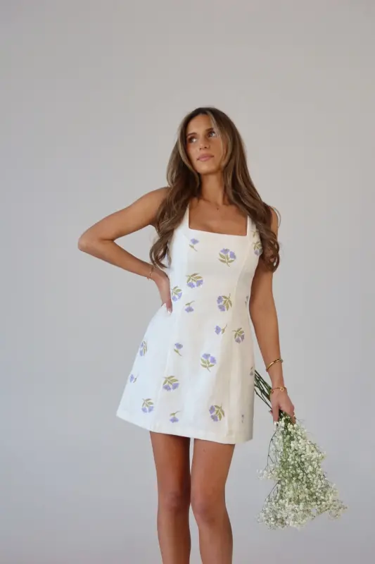 Elora Embroidered Mini Dress